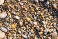 Flat lay of pebbles pattern on the sea shore Royalty Free Stock Photo