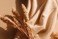 flat lay photo of beige scarf and dried flowers. background