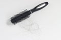 Flat Lay, Photo Hair fall at white Black plastick comb, White Background