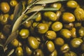 Flat-lay of pickled green Mediterranean olives and olive tree branch Royalty Free Stock Photo