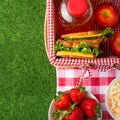 Flat lay. Picnic on the lawn with a veil, basket, sandwiches, strawberries, juice and fresh salad, healthy and tasty food, The Royalty Free Stock Photo