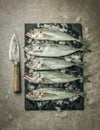 Flat lay picture of whole white seabass fish on cutting board with ice and knife