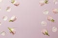 flat lay pink spring roses with copy space 2. High quality beautiful photo concept Royalty Free Stock Photo