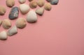 Flat lay of pipi seashells Royalty Free Stock Photo