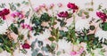 Flat-lay of purple peonies, pink roses, white chrisanthemums and branches Royalty Free Stock Photo