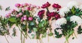 Flat-lay of purple peonies, pink roses and white chrisanthemums Royalty Free Stock Photo