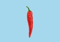 Flat lay red chili peppers pattern on ligh blue t background. Top view.