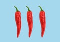 Flat lay red chili peppers pattern on ligh blue t background. Top view.