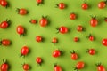 Flat lay with red tomatoes on green background. minimal style