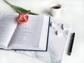 Flat lay: Red tulip, red petals and a Bible on a white table