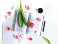 Flat lay: Red tulip, red petals and a Bible on a white table