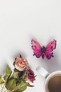 Flat lay of rose flower , butterfly and a cup of coffee texture on white background Royalty Free Stock Photo