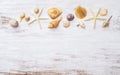 Flat lay of sea shells and starfish on grunge white wooden background. Background concept for Summer time holiday vacation. Sea Royalty Free Stock Photo