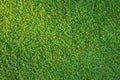 Flat lay short cut green grass background Royalty Free Stock Photo