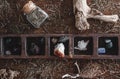 Flat lay shot of a collection of many different crystals on a messy wiccan witch`s altar