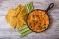 Buffalo chicken dip with chps and celery Royalty Free Stock Photo