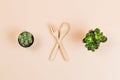 Flat lay of small cactus and cutlery with empty copy space Royalty Free Stock Photo