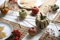 Flat lay of small pumpkins and dry brown maple leafs on white plates