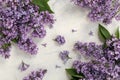 Flat lay with spring blossom. spring or summer concept. blooming lilac bush. Purple lilac flower on the bush. Summer