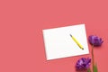 Flat lay Spring flowers. Yellow lilac peony tulips white blank album notebook writing pen on pink background. Lovely greeting card Royalty Free Stock Photo
