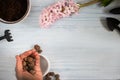 Flat lay of spring garden preparations. Hyacinth flowers and vintage tools on table, top view. Seasonal hobby at home. Selective Royalty Free Stock Photo