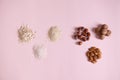 Flat lay still life with assortment of wholesome healthy organic raw seeds, nuts and beans isolated on pink background