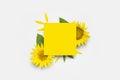 Flat lay Sunflower mockup. Beautiful fresh yellow sunflower, green leaves, petals, blank sheet of paper on light gray background Royalty Free Stock Photo