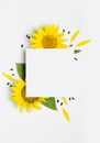 Flat lay Sunflower mockup. Beautiful fresh yellow sunflower, green leaves, petals, blank sheet of paper on light gray background Royalty Free Stock Photo