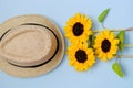 Flat lay with sunglasses, straw boater hat and bright big yellow sunflower on blue background. Travel summer concept. Copy space Royalty Free Stock Photo