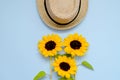 Flat lay with sunglasses, straw boater hat and bright big yellow sunflower on blue background. Travel summer concept. Copy space Royalty Free Stock Photo