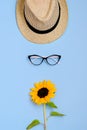 Flat lay with sunglasses, straw boater hat and bright big yellow sunflower on blue background. Travel summer concept. Copy space Royalty Free Stock Photo