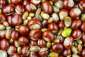 Flat lay texture chestnut and acorn. Autumn top view background