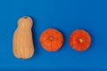 Flat lay of three pumpkins of different types on a blue background. Bright contrasting colors. Minimalism