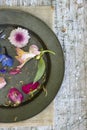 Flat lay top down view image of romantic vintage look of Spring and Summer flower petals and blooms still life on rustic old worn