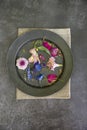 Flat lay top down view image of romantic vintage look of Spring and Summer flower petals and blooms still life on rustic old worn