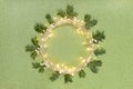 Flat lay top view, Christmas background circle shape border frame, light garland and fir twigs green glitter background Royalty Free Stock Photo