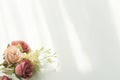 Flat lay top view, copy space. Floral background, flowers composition on white background with copy space Royalty Free Stock Photo