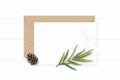 Flat lay top view elegant white composition letter kraft paper envelope pine cone tarragon leaf and tag on wooden background