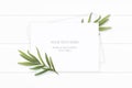 Flat lay top view elegant white composition paper tarragon plant leaf flower on wooden background Royalty Free Stock Photo