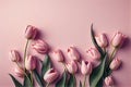 Flat lay, top view, with a lot of copy space, nice gentle background with pink tulips on pink background Royalty Free Stock Photo