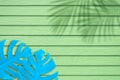 Flat lay,top view minimal illustration tropical exotic leaf,design,summer backdrop.Tropical lmonstera leaves with shadow of coconu