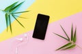 Flat lay top view mockup photo of working space with smartphone, headphones and green leaves on pastel background. Back Royalty Free Stock Photo