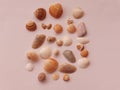 Flat lay. Top view. Seashells of various kinds on background.