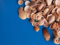 Flat lay. Top view. Seashells of various kinds on background.