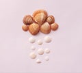 Flat lay. Top view. Seashells of various kinds on background. Royalty Free Stock Photo