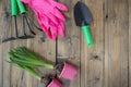 flat lay or top view, with seedlings, rubber gloves, gardening tools on woods background