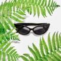 Flat lay. Top view. Stylish sunglasses among fern leaves