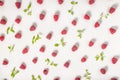 Flat lay of trendy seamless pattern with raspberries and mint