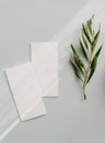 Flat lay of two blank cards sheet on aesthetic pastel grey background with olive branch on sunlight background with shadows