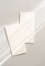 Flat lay of two blank cards sheet on aesthetic pastel grey background with sunlight and shadows